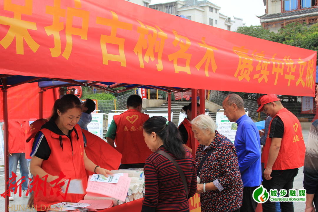 城步林业局开展同心共筑民族团结宣传活动_邵阳头条网